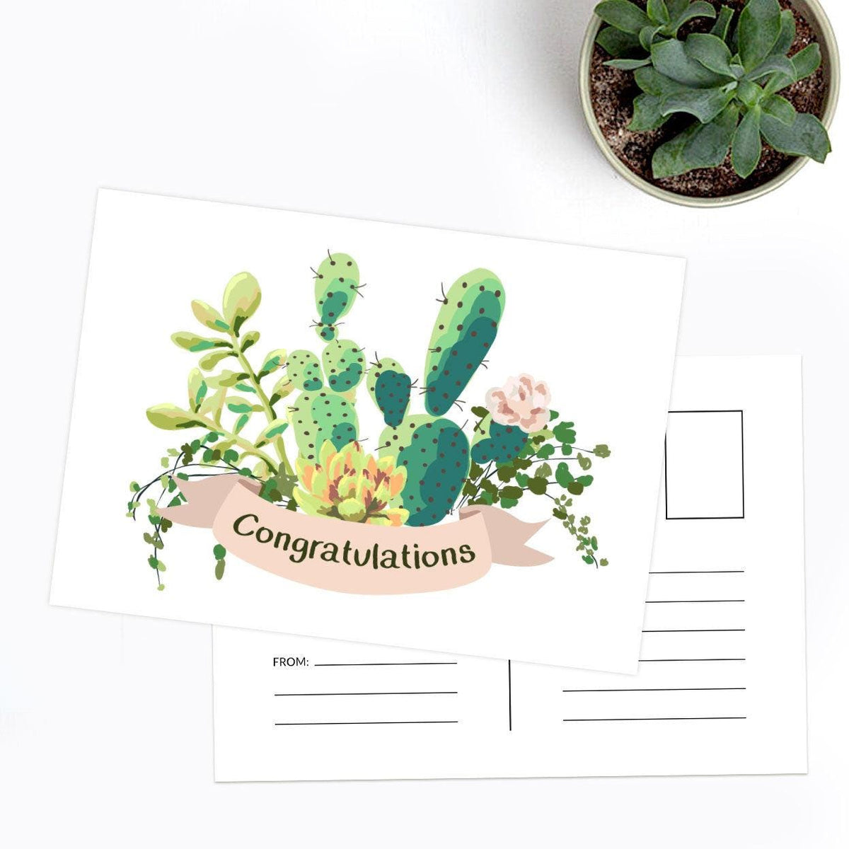 Congratulations Card Pack 5/10