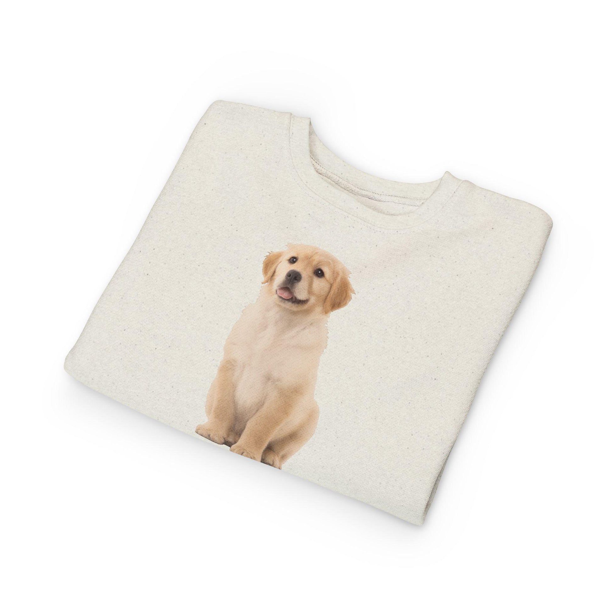 Folded sweatshirt with a golden retriever puppy print on a white background
