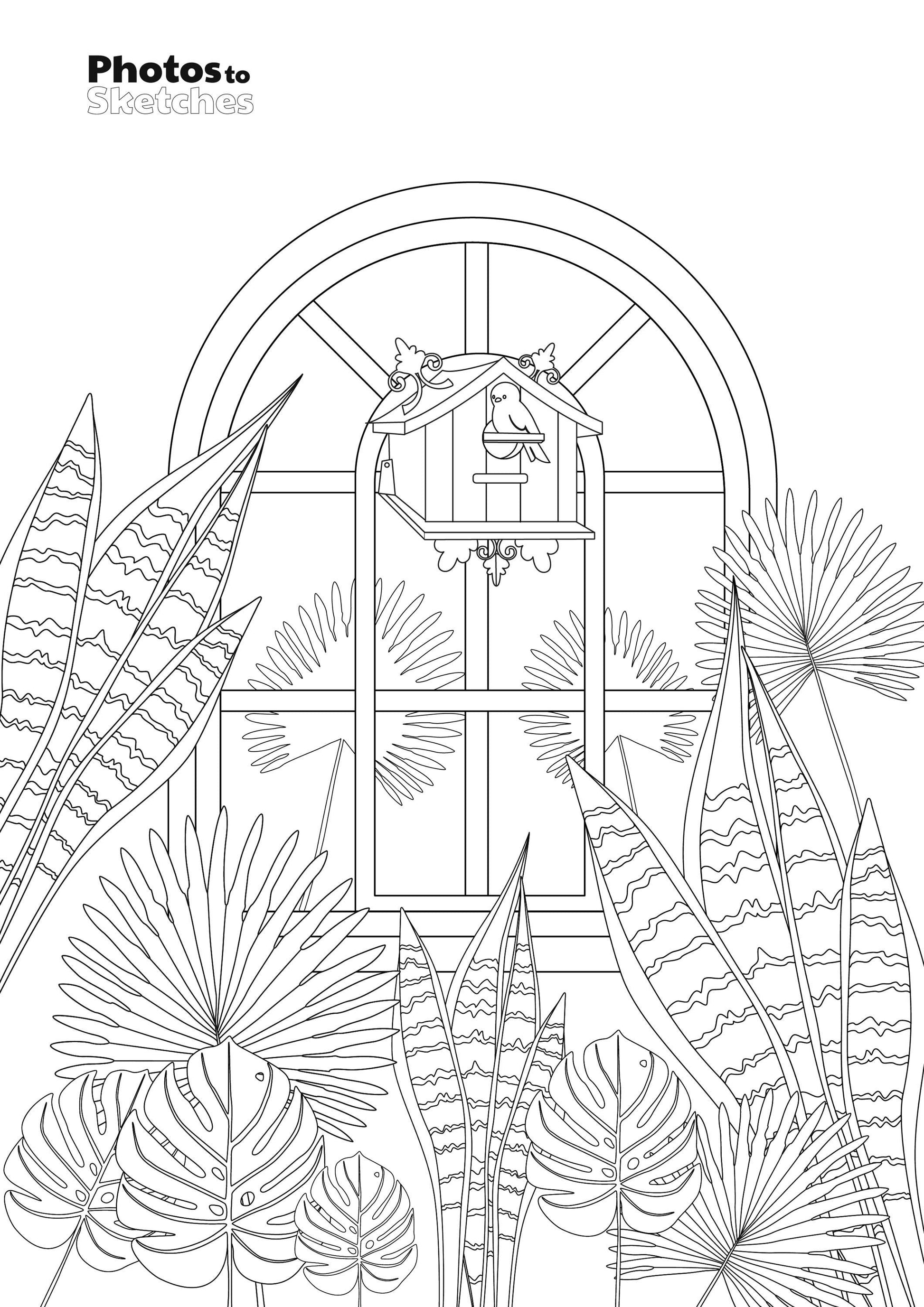 Line drawing of a window with plants on a white background
