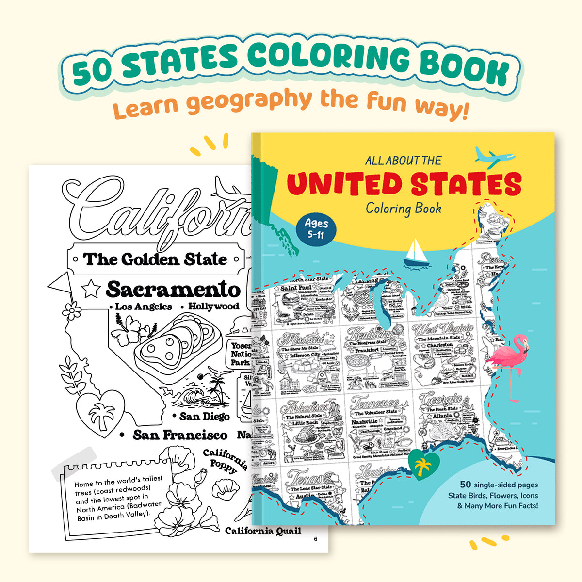 Coloring book for learning about the United States with a map and state illustrations.