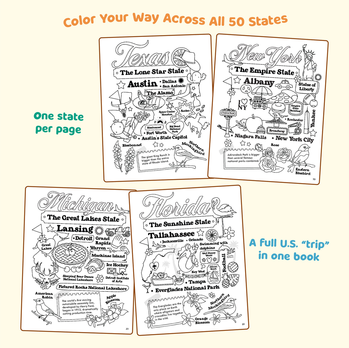 Coloring book with pages of Texas, New York, Michigan, and Florida, each with state symbols and facts.