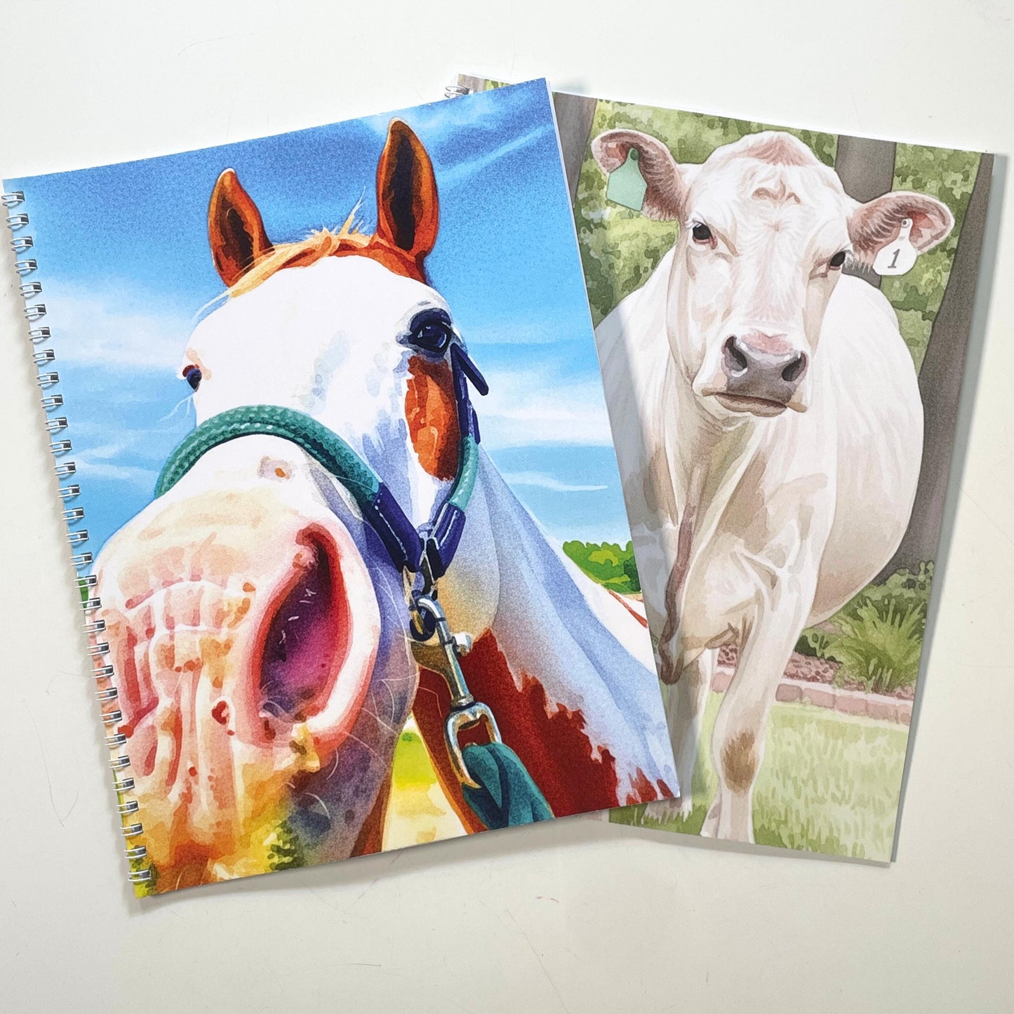Two coloring books with animal-themed covers featuring a horse and a cow.