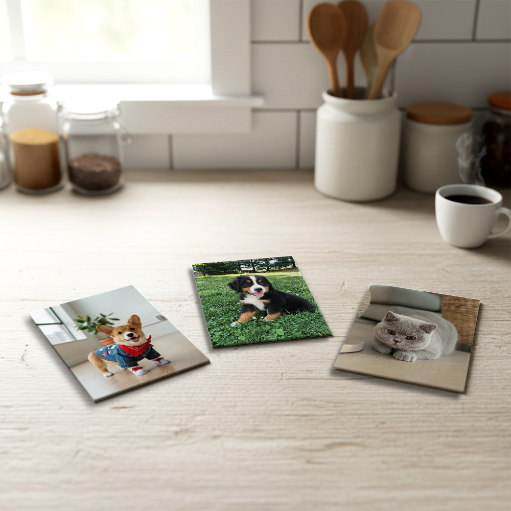 Three personalized pet photo magnets featuring dogs and a cat, displayed on a kitchen countertop